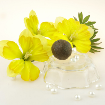 Прополис «Шарик», 10 г - Клуб Восстанови Здоровье "Re-health"