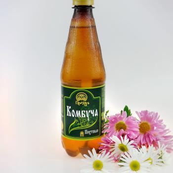 Напиток безалкогольный «Комбуча Пихтовая» на меду с хвоей пихты и пихтовым ароматом, 500 мл - Клуб Восстанови Здоровье "Re-health"