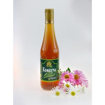 Напиток безалкогольный «Комбуча Пихтовая» на меду с хвоей пихты и пихтовым ароматом в стекле, 500 мл - Клуб Восстанови Здоровье "Re-health"