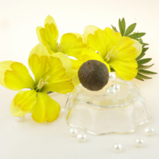 Прополис «Шарик», 10 г - Клуб Восстанови Здоровье "Re-health"