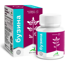 Экстракт бузины с цинком и витамином С, 60 капсул - Клуб Восстанови Здоровье "Re-health"