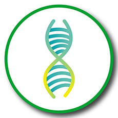 Моносахариды и полисахариды - Клуб Восстанови Здоровье "Re-health"