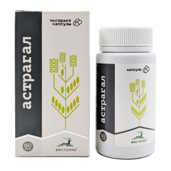 Астрагал, экстракт корней, 60 капсул - Клуб Восстанови Здоровье "Re-health"
