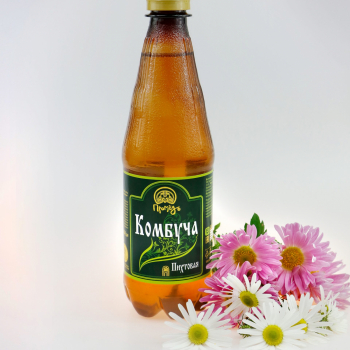Напиток безалкогольный «Комбуча Пихтовая» на меду с хвоей пихты и пихтовым ароматом, 500 мл - Клуб Восстанови Здоровье "Re-health"