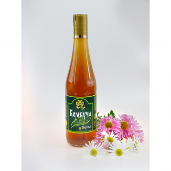 Напиток безалкогольный «Комбуча Пихтовая» на меду с хвоей пихты и пихтовым ароматом в стекле, 500 мл - Клуб Восстанови Здоровье "Re-health"