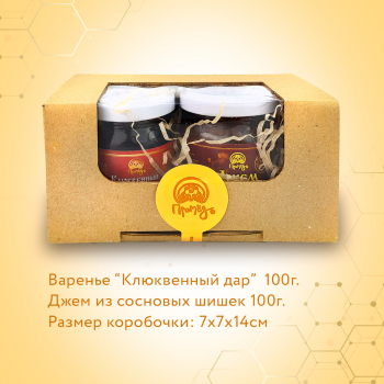 Подарочный набор «Джем из сосновых шишек и Варенье «Клюквенный дар» в баночках по 100 г - Клуб Восстанови Здоровье "Re-health"