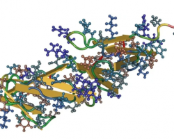ПЕПТИДНЫЕ БИОРЕГУЛЯТОРЫ — ЭТО НЕ ГОРМОНЫ. - Клуб Восстанови Здоровье "Re-health"
