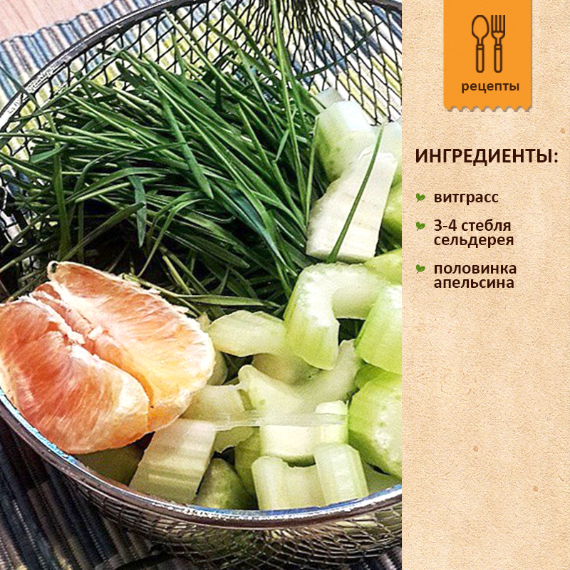 Витграсс с сельдереем и апельсином