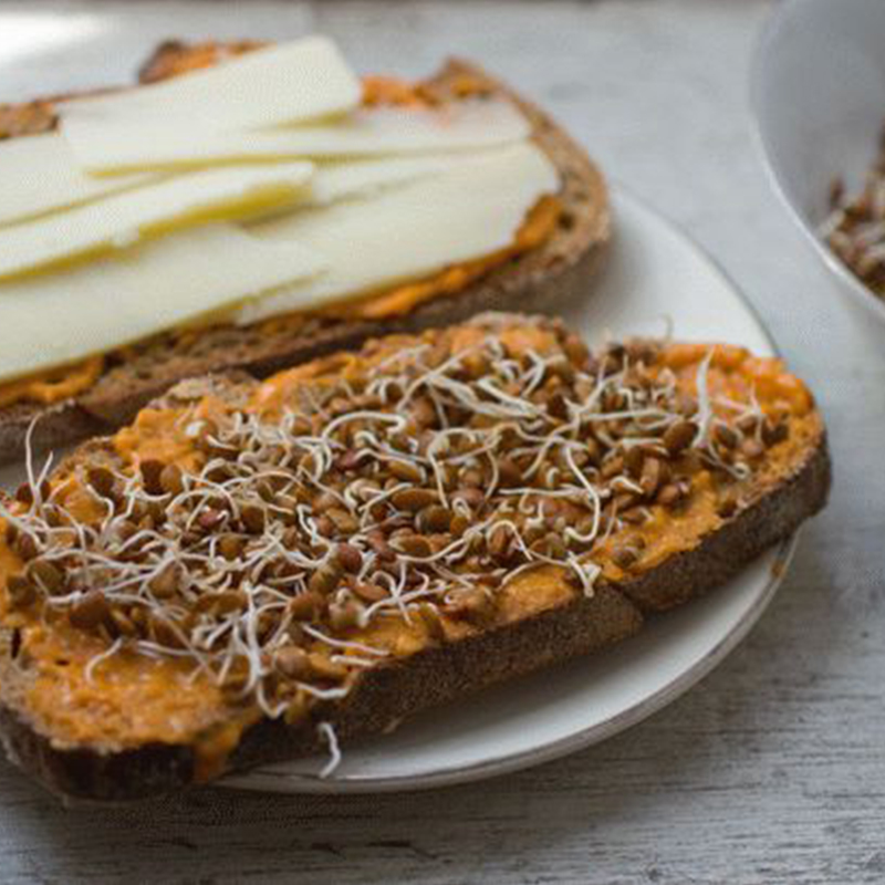 Бутерброды с проростками Бутерброды с проростками фото