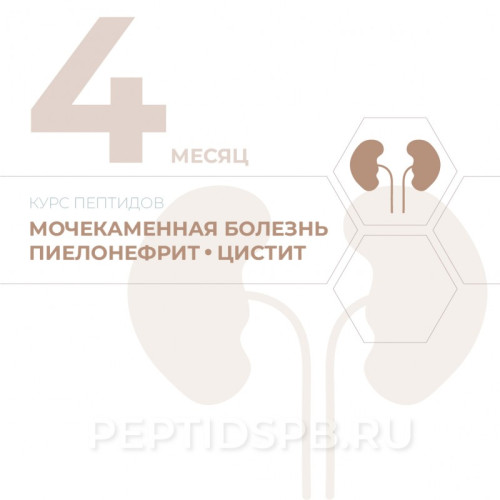 КУРС 4-Й МЕСЯЦ - Мочекаменная болезнь, пиелонефрит, цистит