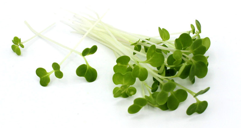 ростки капусты татсой tatsoi.jpg
