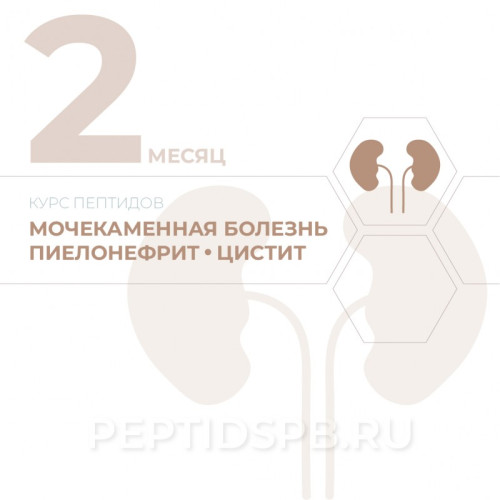 КУРС 2-Й МЕСЯЦ - Мочекаменная болезнь, пиелонефрит, цистит