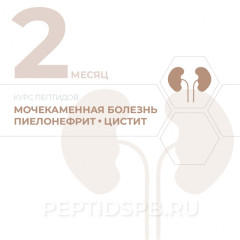 КУРС 2-Й МЕСЯЦ - Мочекаменная болезнь, пиелонефрит, цистит