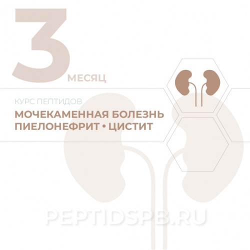 КУРС 3-Й МЕСЯЦ - Мочекаменная болезнь, пиелонефрит, цистит