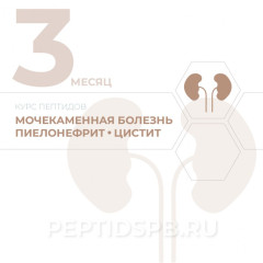 КУРС 3-Й МЕСЯЦ - Мочекаменная болезнь, пиелонефрит, цистит