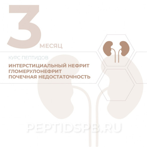 КУРС 3-Й МЕСЯЦ - Интерстициальный нефрит, гломерулонефрит, почечная недостаточность