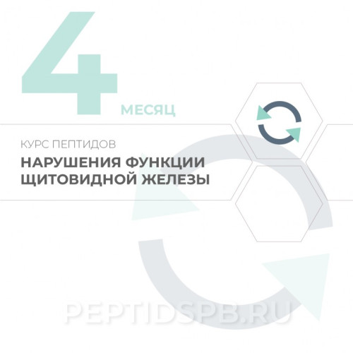 Курс пептидов для щитовидной железы 4-й месяц