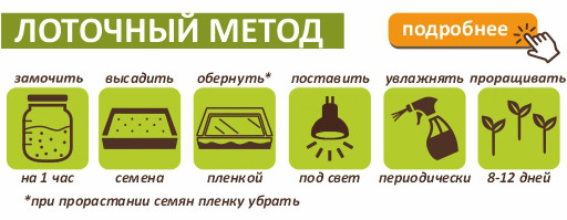 Горчица семена микрозелени, 100 г
