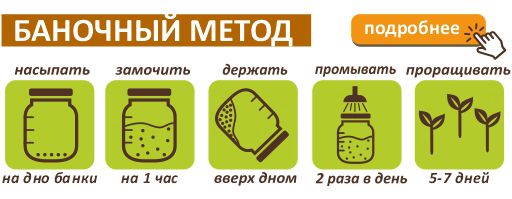 gorchica-banochnii-metod.jpg gorchica-banochnii-metod.jpg