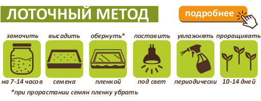 Пажитник (хельба) для проращивания, 500 г
