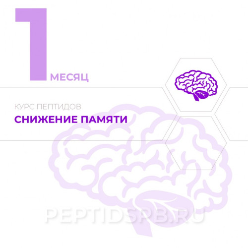КУРС 1-Й МЕСЯЦ - Снижение памяти