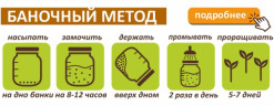 Люцерна семена микрозелени, 100 г