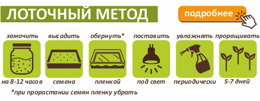lyucerna-lotochnii-metod.jpg