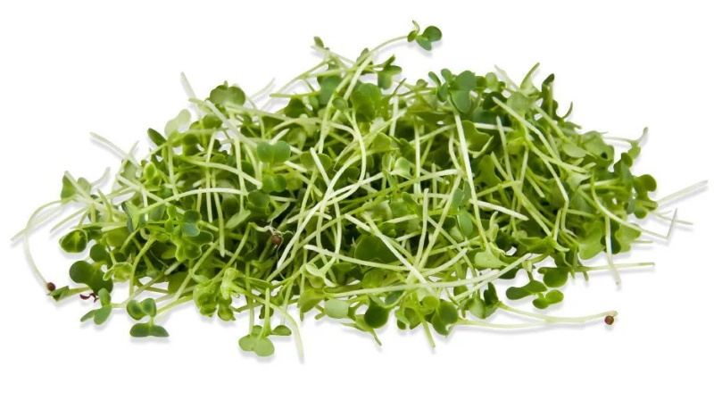 broccoli.jpg