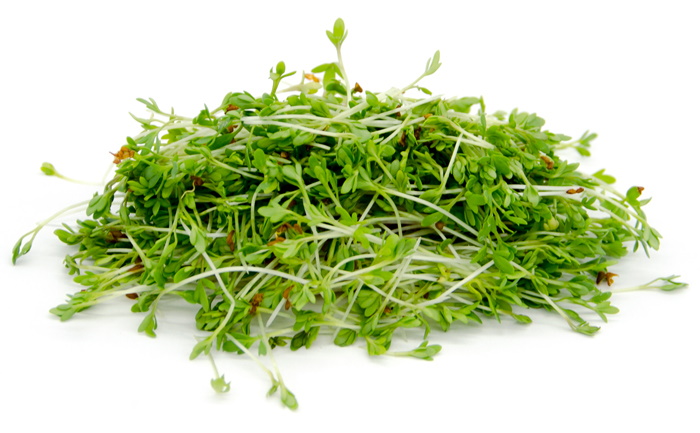 water-cress.jpg