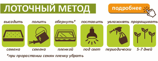 kress-salat-lotochnii-metod.jpg