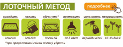 Микс "Молодость" для проращивания, 100 г