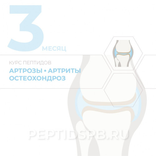 КУРС 3-Й МЕСЯЦ - Артрозы, артриты, остеохондроз