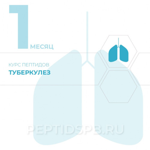 Курс пептидов при туберкулезе 1-й месяц