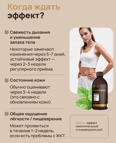 Хлорофилл
