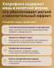 Хлорофилл