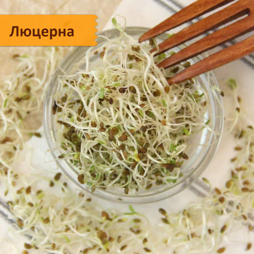 Набор семян микрозелени 30 урожаев