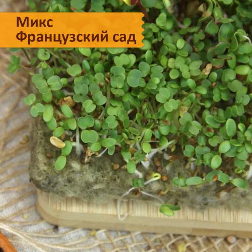 Набор для выращивания "Салатные смеси микрозелени"