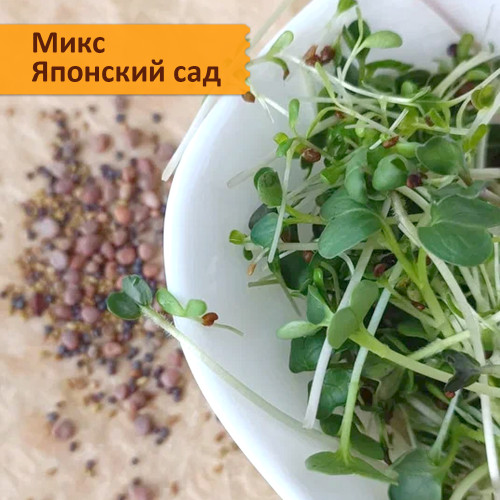 Набор для выращивания "Салатные смеси микрозелени"
