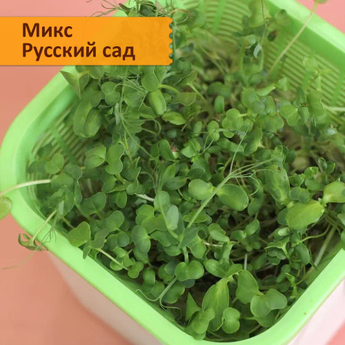 Набор для выращивания "Салатные смеси микрозелени"