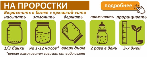 Набор для проращивания "Проростки Макс: 10 видов"