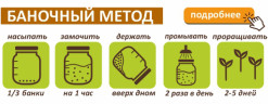 Зеленая гречка для проращивания, 500 г.