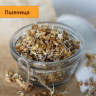 Набор "проростки и микрозелень в банке"