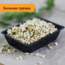 Набор "проростки и микрозелень в банке"