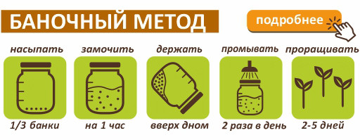 Зеленая гречка для проращивания, 5 кг