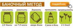 Рожь для проращивания, 500 г
