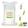 Рожь для проращивания, 5 кг