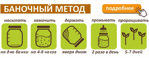 redka-banochnii-metod.jpg