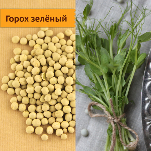 Набор для выращивания "Микрозелень на подоконнике"