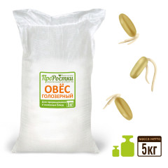 Овес голозерный для проращивания, 5 кг