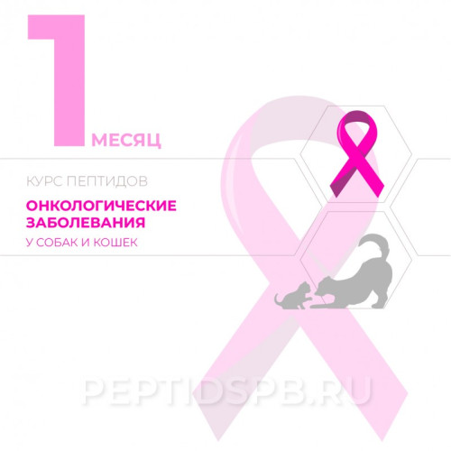 Пептиды для животных при онкологических заболеваниях (КУРС 1-Й МЕСЯЦ - на базе лингвалов)